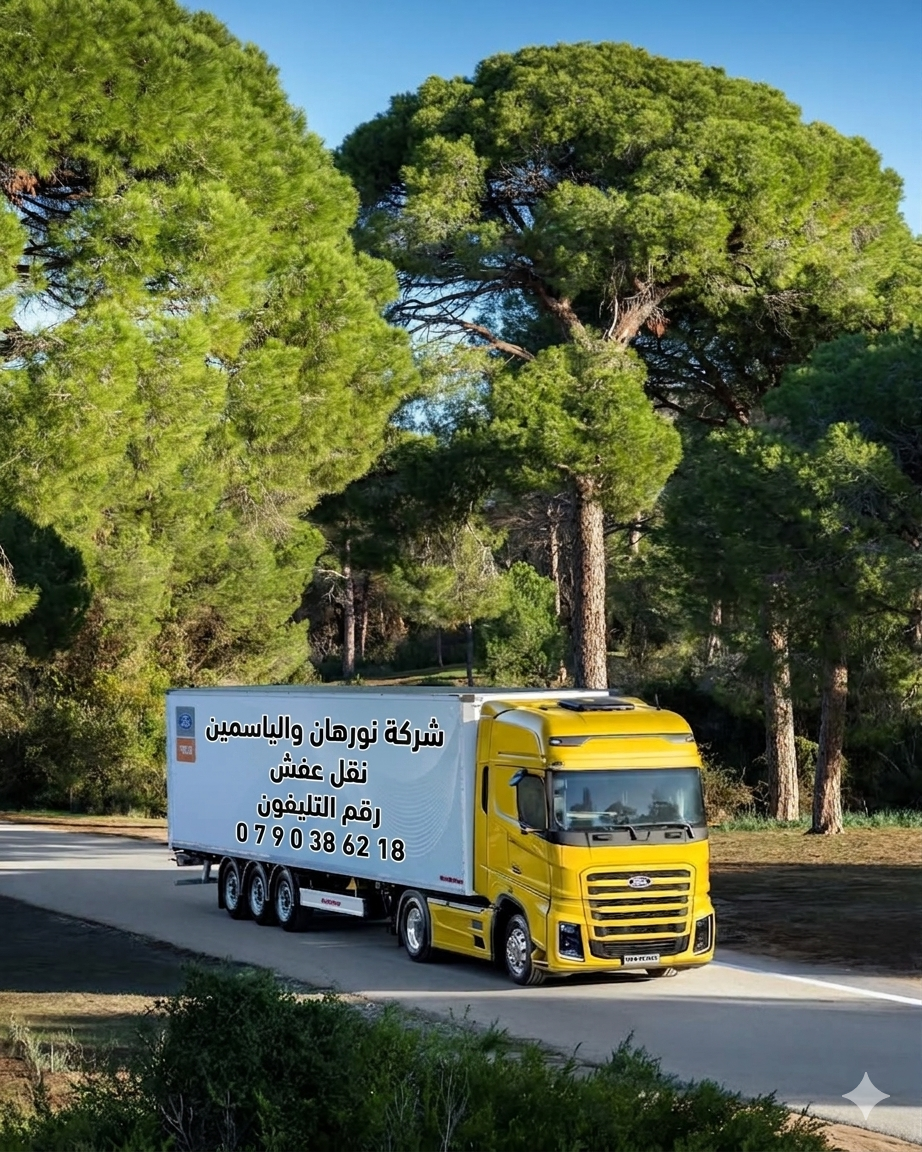 خدمات نقل الأثاث والتوصيل 3
