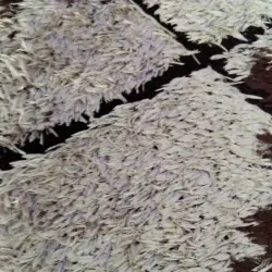 سجادة منطقة أشعث