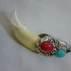 قلادة سن حيوان مع أحجار كريمة